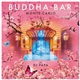 DJ Papa - Buddha-Bar XIX: Montecarlo