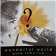 Gone Tomorrow - Wonderful World